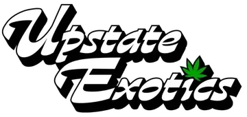 Upstate Exotics